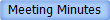 Meeting Minutes