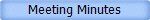 Meeting Minutes